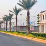 Cát Tường Phú Hưng tăng sức hút cho bất động sản Bình Phước